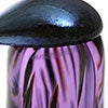 Birds Amethyst bird 262