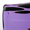 Birds Amethyst bird 614
