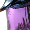 Birds Amethyst bird 234
