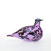 Birds Amethyst bird 71