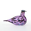 Birds Amethyst bird 79