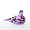 Birds Amethyst bird 87