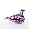 Birds Amethyst bird 94