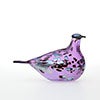 Birds Amethyst bird 108