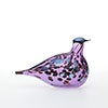Birds Amethyst bird 122