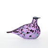 Birds Amethyst bird 129