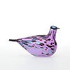 Birds Amethyst bird 131