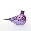 Birds Amethyst bird 133