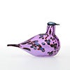 Birds Amethyst bird 142