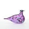 Birds Amethyst bird 143