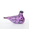 Birds Amethyst bird 229