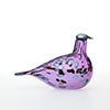Birds Amethyst bird 234