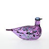 Birds Amethyst bird 235