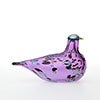 Birds Amethyst bird 236