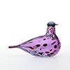 Birds Amethyst bird 237