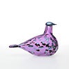 Birds Amethyst bird 239