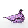 Birds Amethyst bird 249