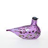 Birds Amethyst bird 254