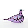 Birds Amethyst bird 257