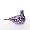 Birds Amethyst bird 258