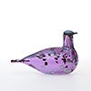 Birds Amethyst bird 262