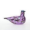 Birds Amethyst bird 277