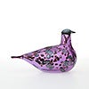 Birds Amethyst bird 290