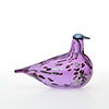 Birds Amethyst bird 291