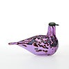 Birds Amethyst bird 299
