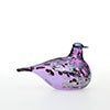 Birds Amethyst bird 338