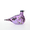 Birds Amethyst bird 339