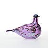 Birds Amethyst bird 521