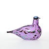 Birds Amethyst bird 547