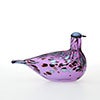 Birds Amethyst bird 554