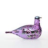 Birds Amethyst bird 563