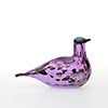Birds Amethyst bird 573
