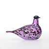 Birds Amethyst bird 576
