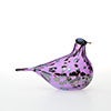 Birds Amethyst bird 584