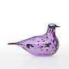 Birds Amethyst bird 614