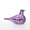 Birds Amethyst bird 622
