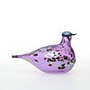 Birds Amethyst bird 623
