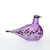 Birds Amethyst bird 624