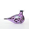Birds Amethyst bird 643