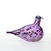 Birds Amethyst bird 648