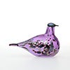Birds Amethyst bird 654