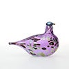 Birds Amethyst bird 683