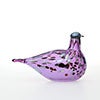 Birds Amethyst bird 781