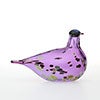 Birds Amethyst bird 783