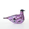 Birds Amethyst bird 813