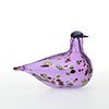 Birds Amethyst bird 826